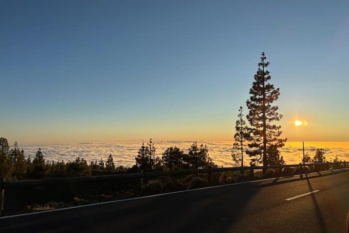 Tour al Parque Nacional del Teide en minibús - 4