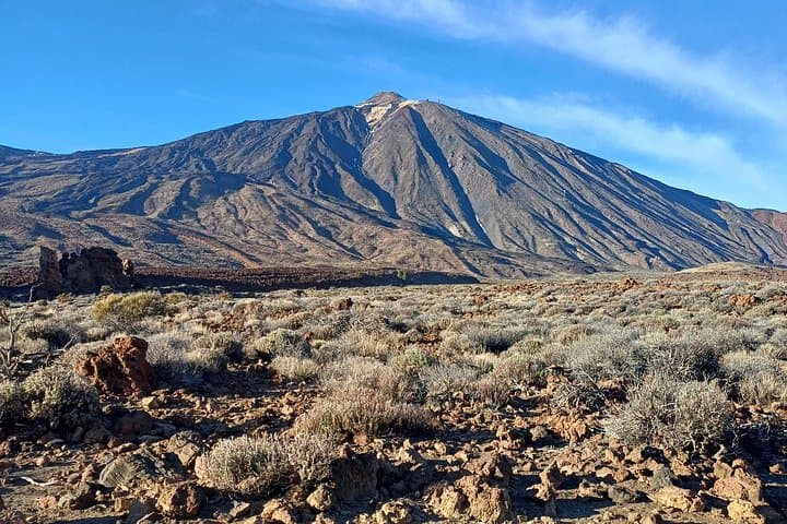 Tour al Parque Nacional del Teide en minibús - 5