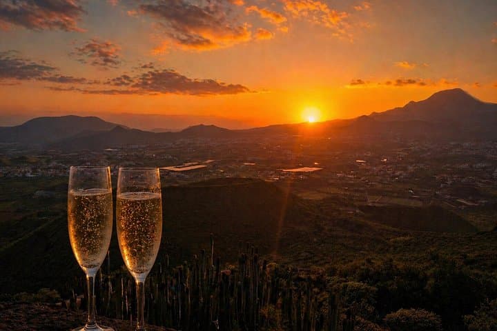 Your Private Trip to the Heart of Tenerife - 5
