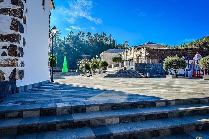 Your Private Trip to the Heart of Tenerife - 2