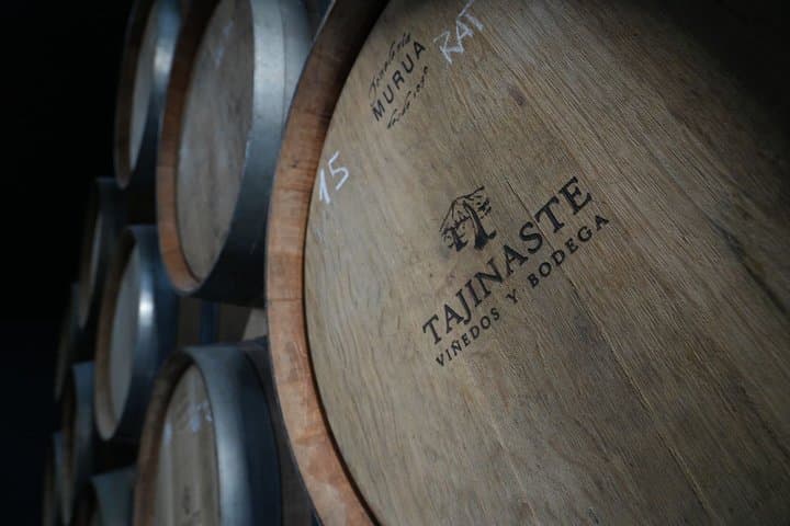 Tour Volcánico de Vinos : Viñedos Heritage & Cata en Tenerife - 6