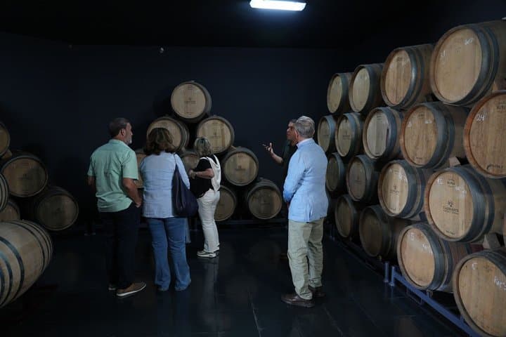 Tour Volcánico de Vinos : Viñedos Heritage & Cata en Tenerife - 5