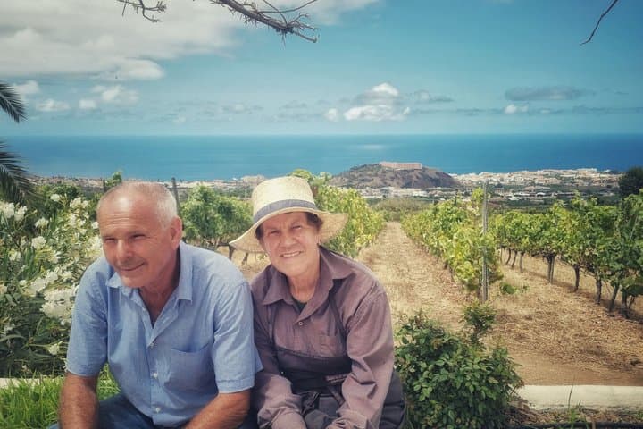 Tour Volcánico de Vinos : Viñedos Heritage & Cata en Tenerife - 7