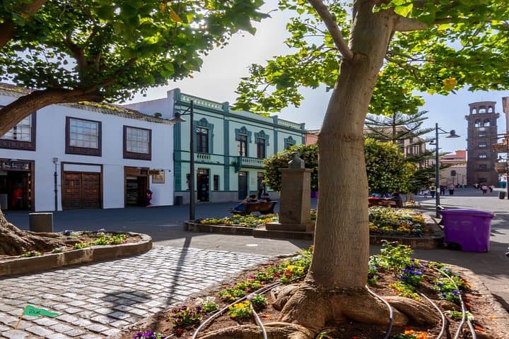 Tenerife UNESCO Worlds Tour of Teide La Laguna - 6