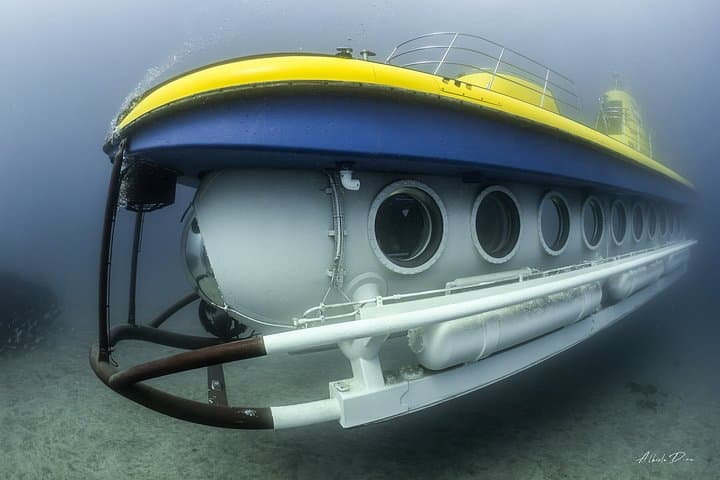 Tour Submarino de Tenerife con Recogida en Los Gigantes - 6