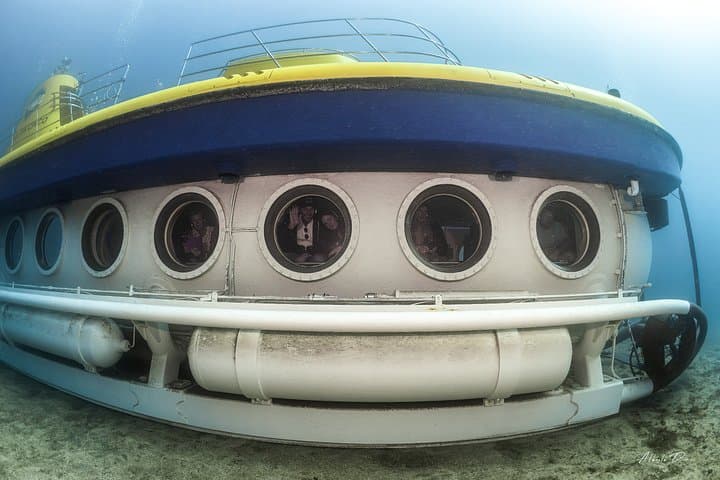 Tour Submarino de Tenerife con Recogida en Los Gigantes - 7
