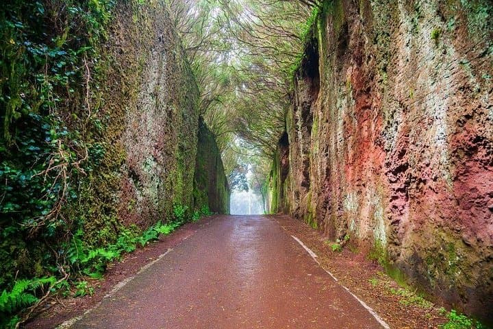 Visita guiada en moto por montañas y bosques - 3