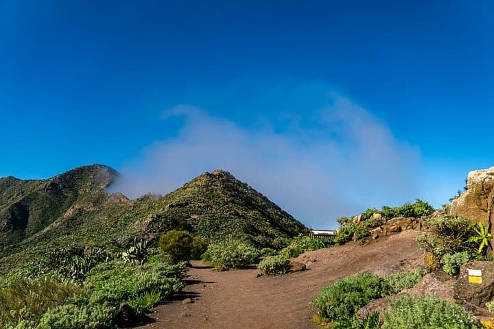 Tenerife Highlights Gigantes & Masca Coastal Cliffs - 7