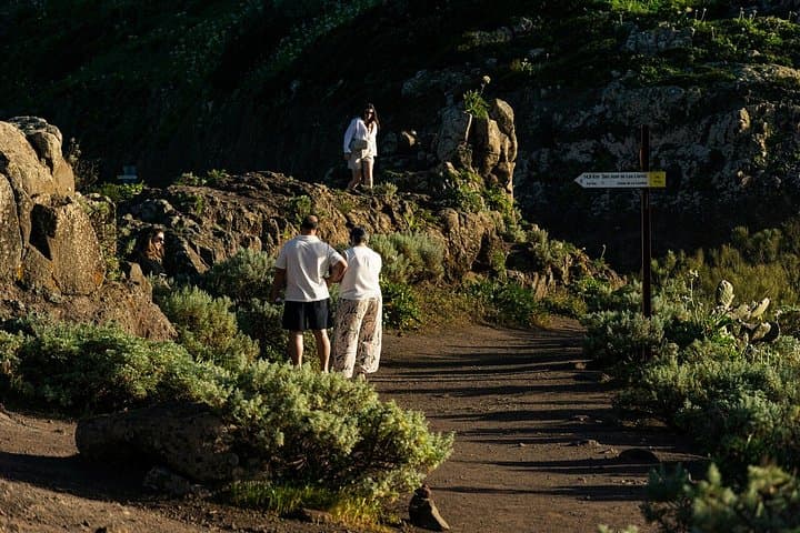 Tenerife Highlights Gigantes & Masca Coastal Cliffs - 3
