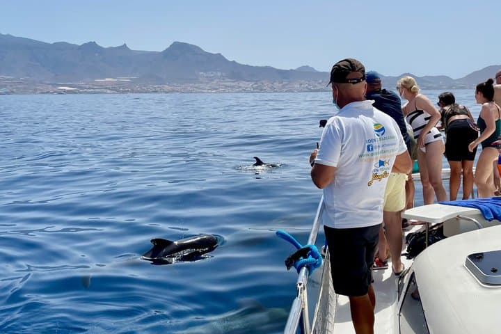 Ballenas - 3