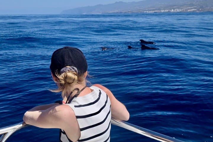 Ballenas - 5