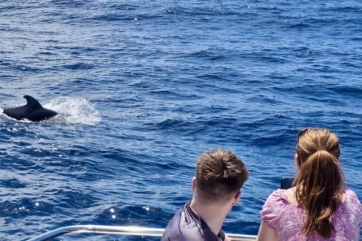 Ballenas - 6