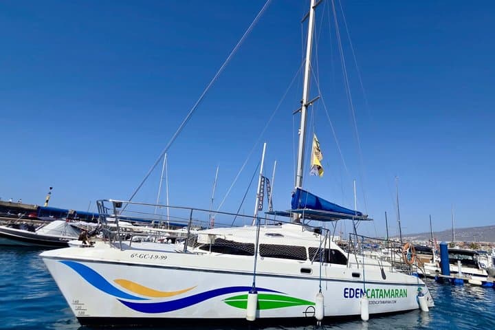 Ballenas - 7