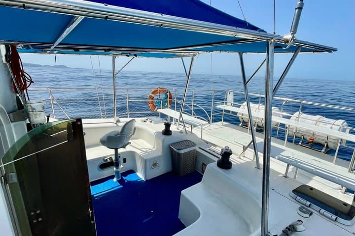 Ballenas - 8