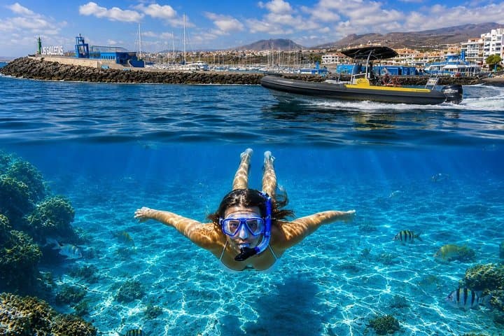 Aventura snorkel Deepfin en Tenerife Exploración de vida marina - 2
