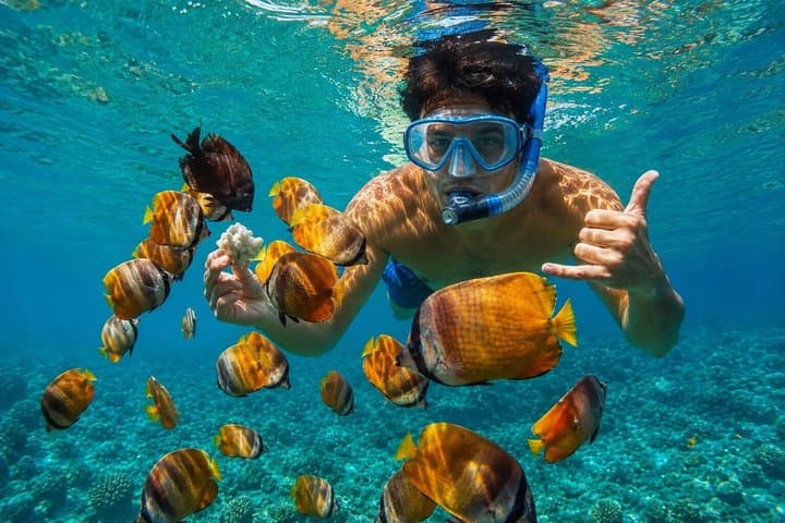 Aventura snorkel Deepfin en Tenerife Exploración de vida marina - 3