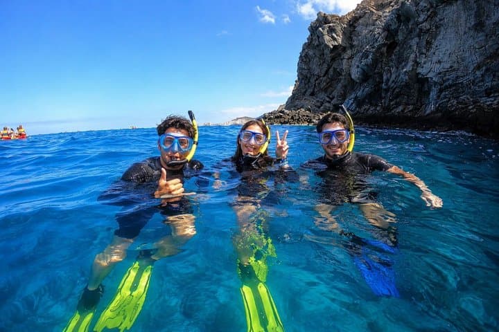 Aventura snorkel Deepfin en Tenerife Exploración de vida marina - 4
