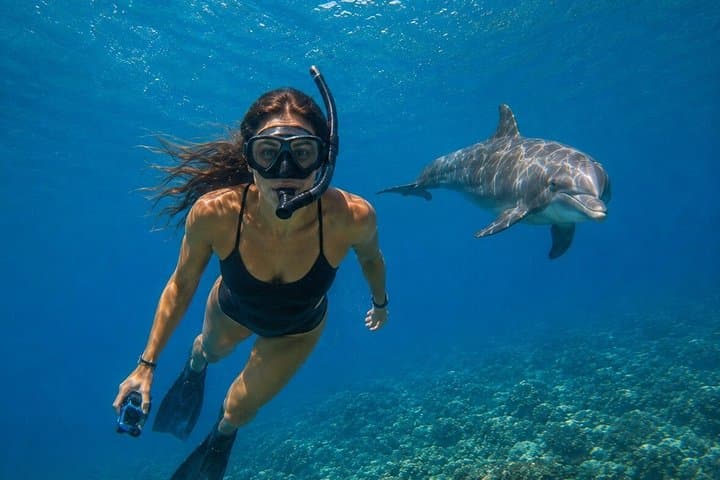 Aventura snorkel Deepfin en Tenerife Exploración de vida marina - 5