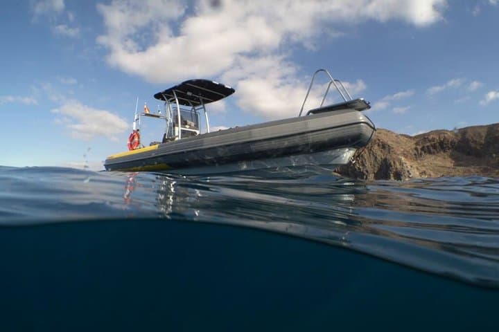 Aventura snorkel Deepfin en Tenerife Exploración de vida marina - 6
