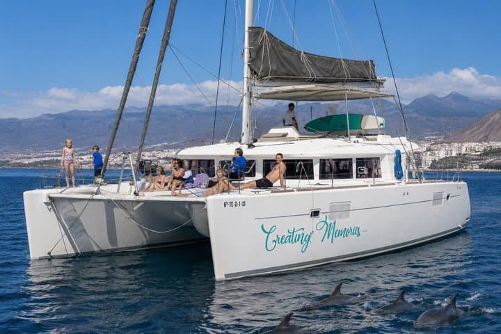 Avistamiento de ballenas - 6