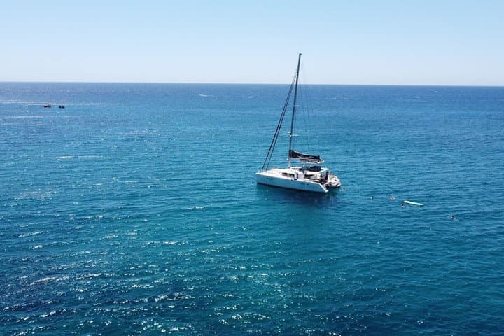 Avistamiento de ballenas - 3