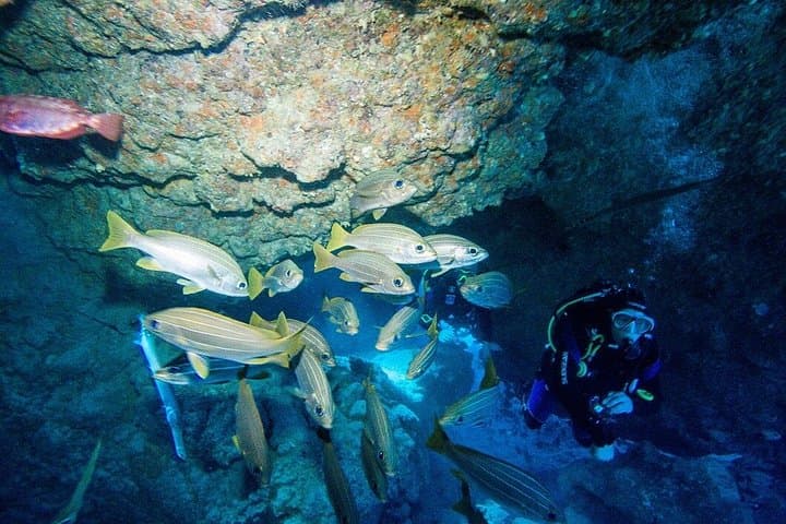 Buceo al sur de Tenerife. - 3