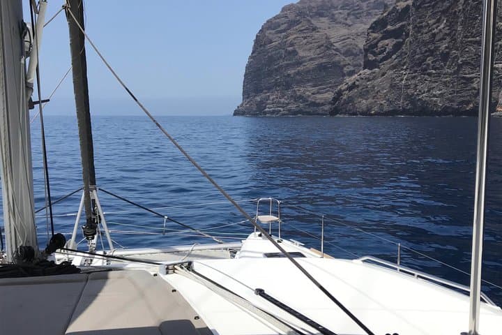 Experiencia de avistamiento de ballenas por la tarde Discovery Los Cristianos - 7