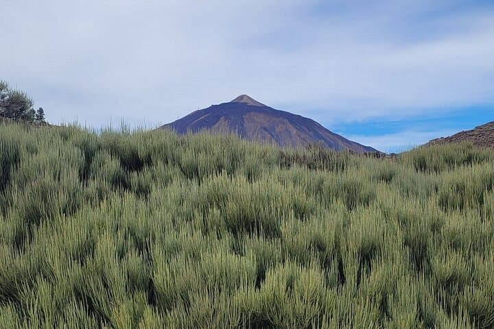 Wanderung Teide Nationalpark Vulkan El Cerrillar Max 10 Pers - 2