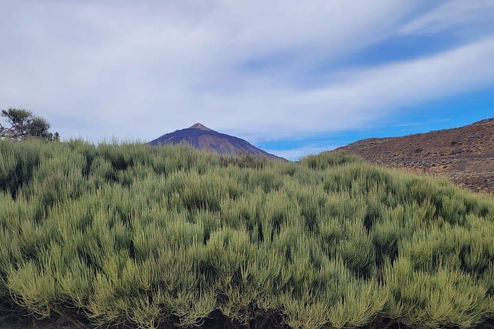 Wanderung Teide Nationalpark Vulkan El Cerrillar Max 10 Pers - 6