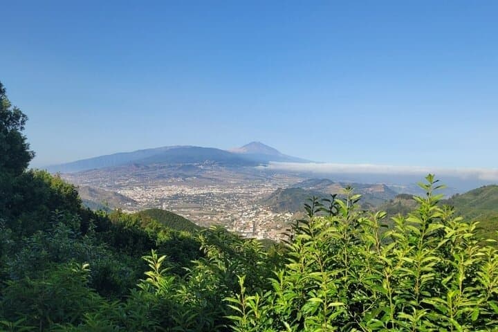 Excursión panorámica por las montañas de Anaga, grupo reducido de 10 personas. - 1