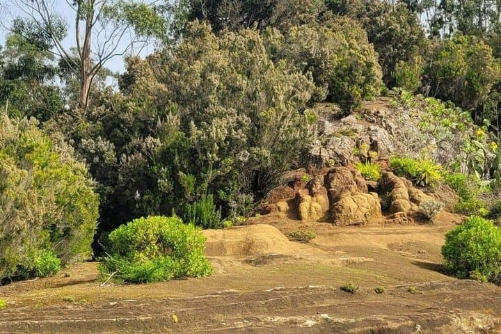 Excursión panorámica por las montañas de Anaga, grupo reducido de 10 personas. - 3