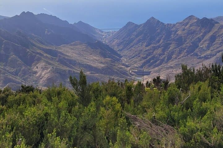 Excursión panorámica por las montañas de Anaga, grupo reducido de 10 personas. - 4