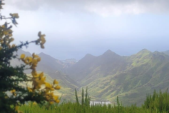 Excursión panorámica por las montañas de Anaga, grupo reducido de 10 personas. - 6