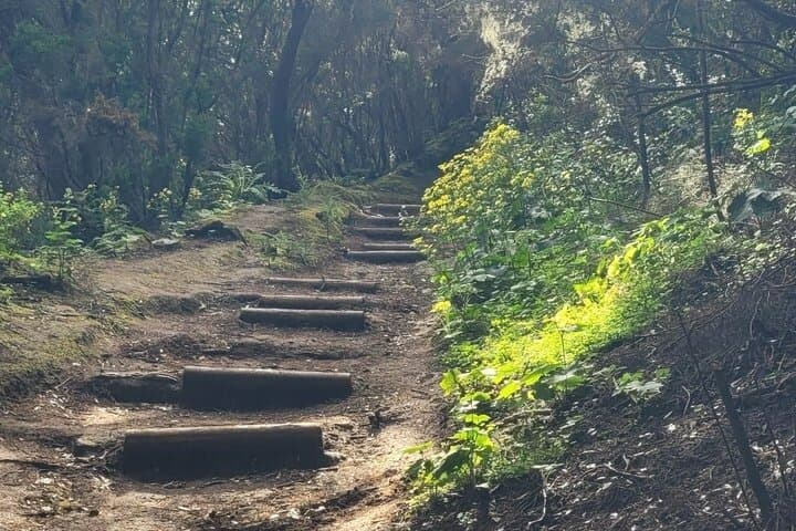 Excursión panorámica por las montañas de Anaga, grupo reducido de 10 personas. - 7