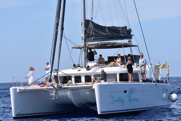 Experiencia de avistamiento de ballenas por la tarde Discovery Los Cristianos - 3