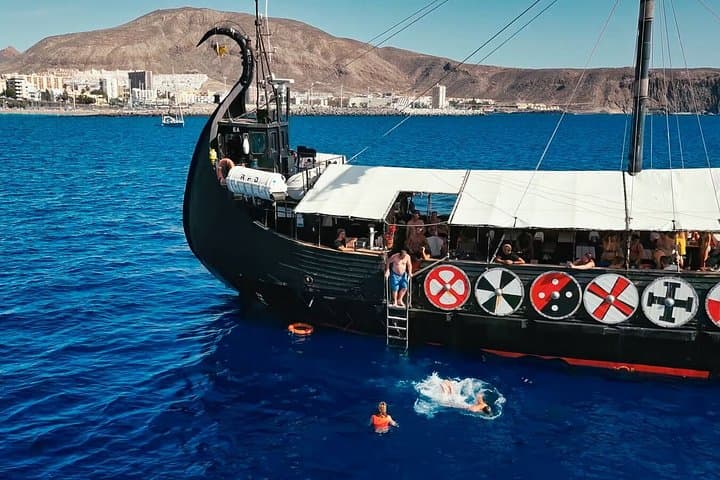Avistamiento de ballenas y delfines y parada de natación en Tenerife - 7