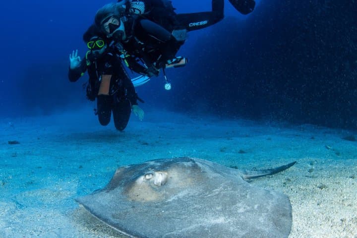 Prueba el Buceo en Puerto Colón - 3