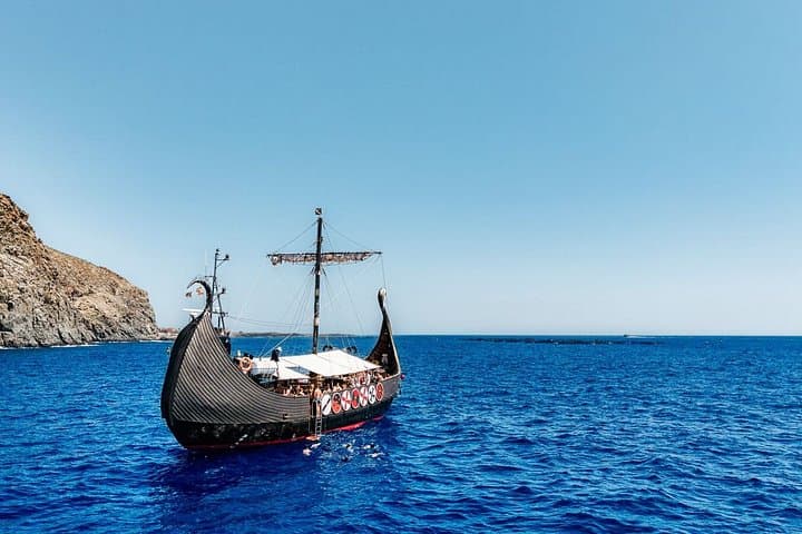 Avistamiento de ballenas y delfines y parada de natación en Tenerife - 2