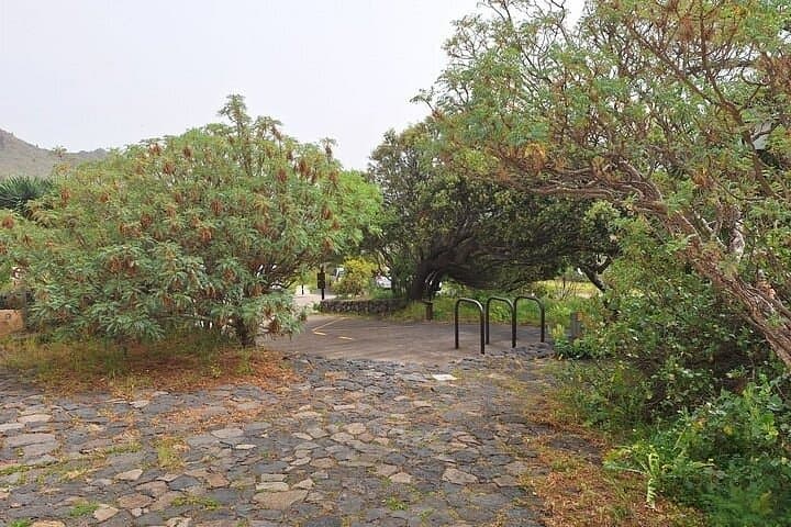 Tenerife Hidden Teno Alto Isla Baja and Volcanic Landscapes - 5
