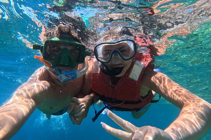 Safari Kayak & Snorkel : Busca Delfines & Tortugas en Tenerife - 3