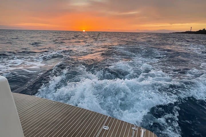 Tenerife Sunset Private Cruise Whale Watching and Swim Stop - 4