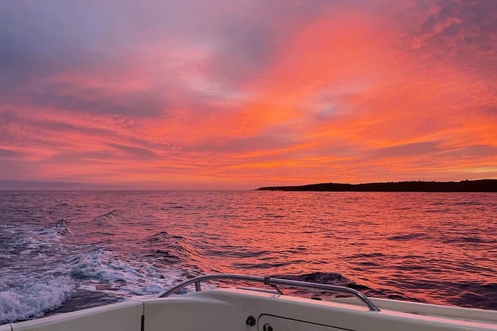 Tenerife Sunset Private Cruise Whale Watching and Swim Stop - 5