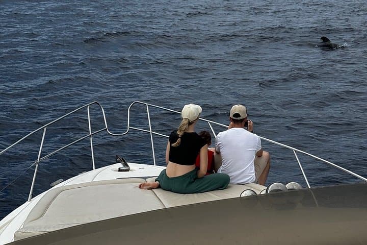Tenerife Sunset Private Cruise Whale Watching and Swim Stop - 8