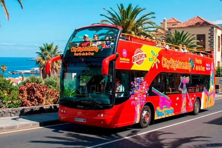 Tour en autobús turístico por Puerto de la Cruz - 3