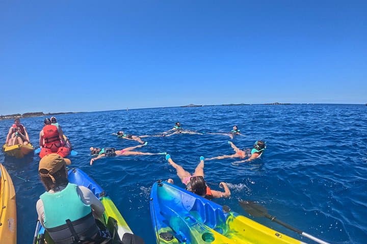 Kayak y snorkel en Los Cristianos - 6