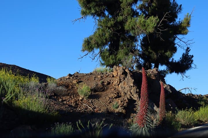 Día o Puesta del Sol en el Parque Nacional del Teide - 6