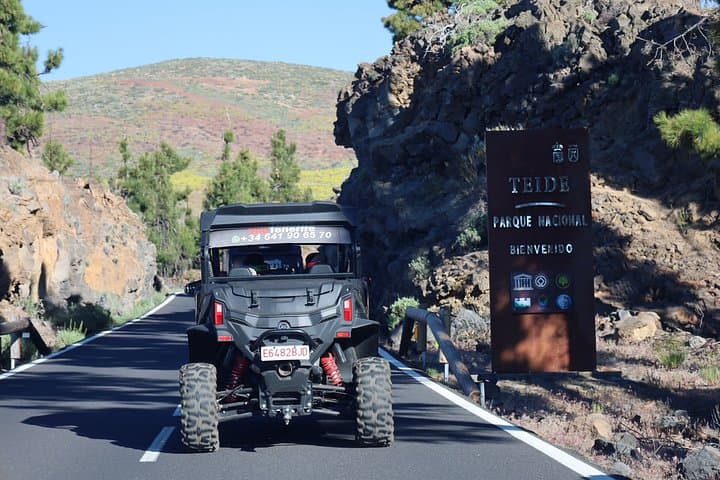 Día o Puesta del Sol en el Parque Nacional del Teide - 8