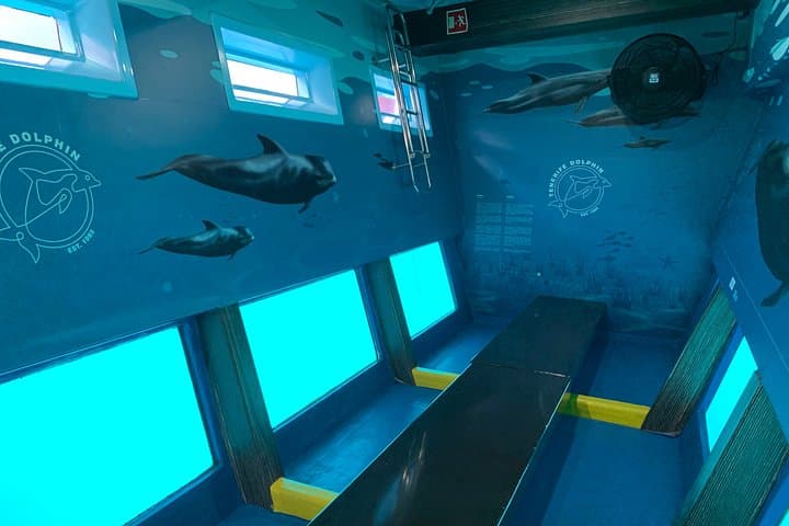Delfines - 5