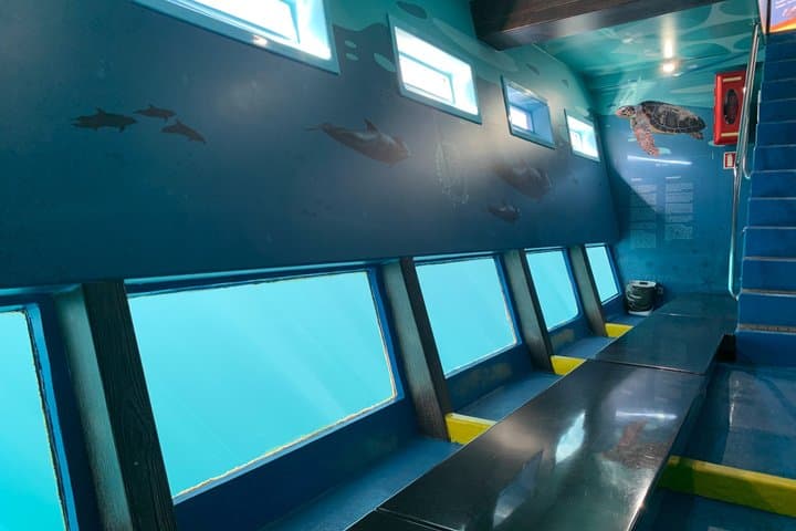 Ballenas piloto - 7