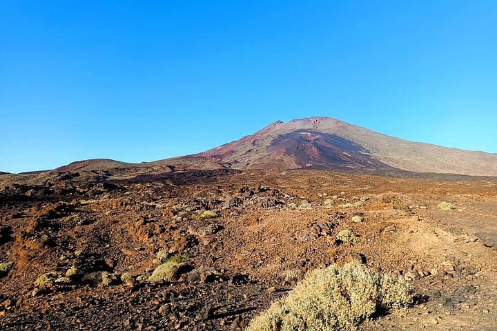 Tour Premium: Teide y Estrellas con Almuerzo en Guachinche y Cava - 4